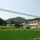 난지1리마을회관 이미지