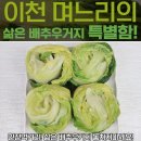 에바다 쇼핑하우