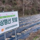 상월마을학교사회적협동조합 이미지