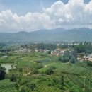 상상그린 G. HOUSE | [리장옥룡설산G.C] 구름 위 3,100m에서 샷하다