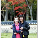 수계정 Daum카페