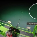 삼포방파제 이미지