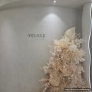 (주)더프라자 청담 | 청담 예물샵 베루체 웨딩밴드 로맨틱세리니 수령 후기 (지인할인 코드 및 방법 공유)