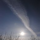 우포늪생명길 이미지