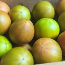 아침 이레 농장 이미지