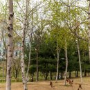 갈매중앙공원 이미지