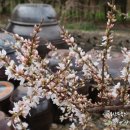 봉우리농장 이미지