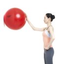 짐볼근육강화운동 -5,어깨근력 강화 및 재활운동 이미지