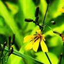 기내미재 이미지