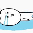 담필름 이미지
