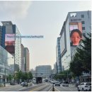 삼성 디지털 프라자 앞 횡단보도 이미지