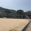 대창초등학교병설유치원 이미지