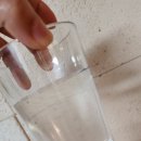 이뮨팩토리제주