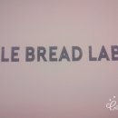 래드랩 이미지