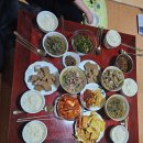 강쥐엄마네 이미지
