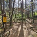 화왕산산림욕장 이미지