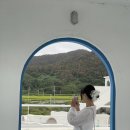 포항 대형카페 오이아카페 가고 우리횟집에서 물회 먹고