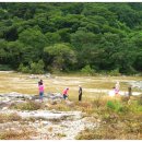 세심자연휴양림 이미지