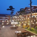 보령 신흑동 로그 프라그랑스 펜션 향기로운 힐링이 가득했던 펜션 여행후기