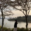 카페683