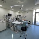 다솜고양이메디컬센터 금정점 이미지