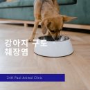 아이숲동물병원 이미지