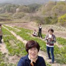 구주령 산채농원 이미지