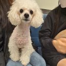 칠곡종합동물병원 이미지