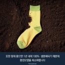 제일양말