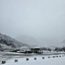 정선 가볼만한곳! 가리왕산케이블카 설경 탑승 후기(소요시간/할인)