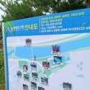 일영랜드(주) 이미지