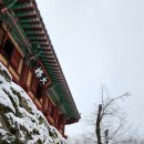 도림사 이미지