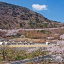 월아산 숲속의 진주 자연휴양림 이미지