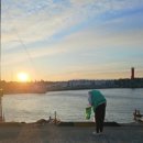 석류애견 이미지