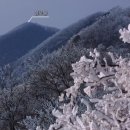 시민가축인공수정소 | AGI, 천사인가 악마인가 (김대식)
