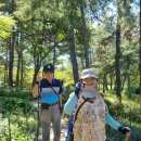 안산 와동공원 이미지