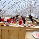 스케치피자 이미지