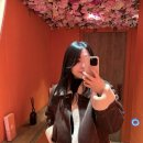 청담유치원 | 강남 애견카페 2도라운지, 애견 호텔과 유치원까지 있는 청담 이도라운지 후기, 주차