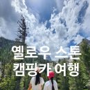 씨티카써비스 | 초등 아이와 함께하는 옐로우스톤 캠핑카 여행 후기 (공항 추천 )