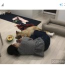 깨미네