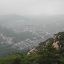 대교장 이미지