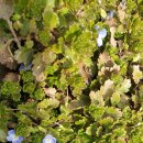 국희농장 이미지