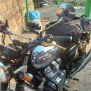 윌리독(wheeliedog) 이미지