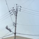 상모로-10 이미지