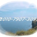 더메종277 이미지