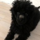 만득이 - 당진시 먹거리길 112-5 | 만득이
