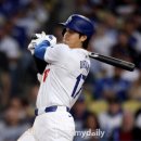 안타코리아 이미지