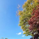 RE:924회 토요걷기(11/1) DMZ평화의길 7차 인제 대곡리초소-1052고지 코스 이미지