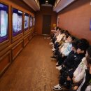 🏛대전의 역사, 문화가 가득한 대전시립박물관에 다녀왔어요🏛 이미지