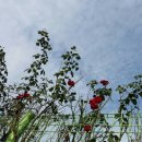 깍자헤어 이미지